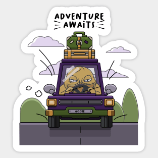 Adventure Awaits Sticker